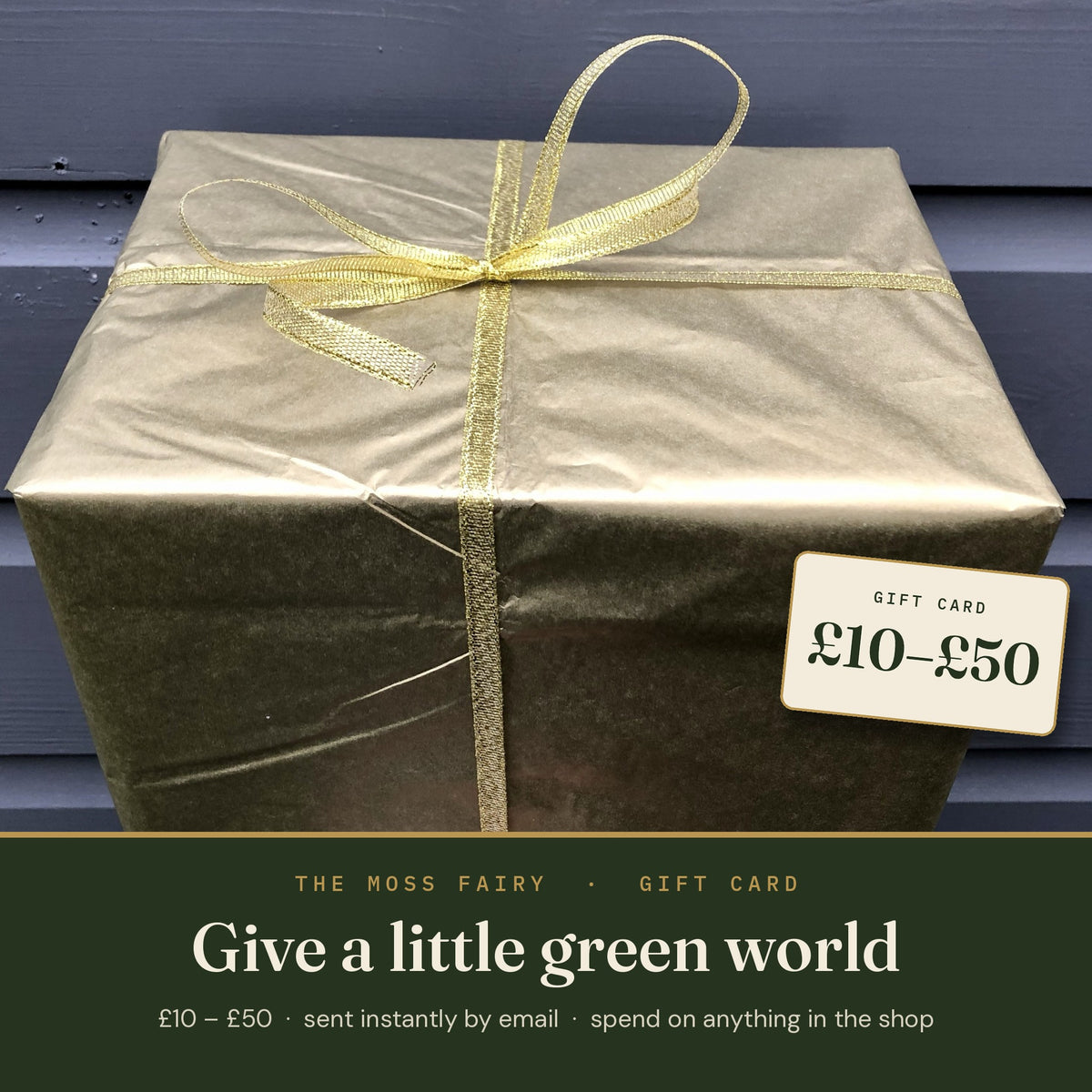 The Moss Fairy gift card, £10 to £50, gift wrapped box