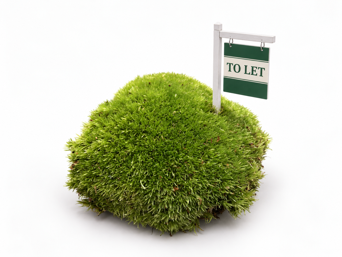 Realistic bun moss cushion with a miniature British “TO LET” estate-agent sign planted into it against a clean white background.