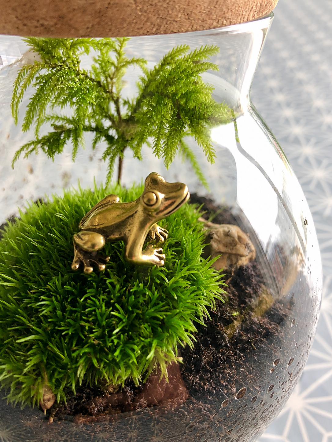 A small glass terrarium with a cork stopper, featuring bright green moss, a miniature artificial tree, dark soil, and a tiny brass frog figurine, photographed close up against a patterned surface.