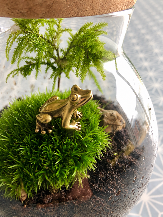 A small glass terrarium with a cork stopper, featuring bright green moss, a miniature artificial tree, dark soil, and a tiny brass frog figurine, photographed close up against a patterned surface.