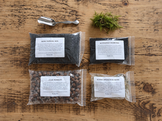 DIY terrarium starter kit with labelled clay pebbles, activated charcoal, sphagnum moss and topsoil mix, plus a mini silver scoop and fresh moss