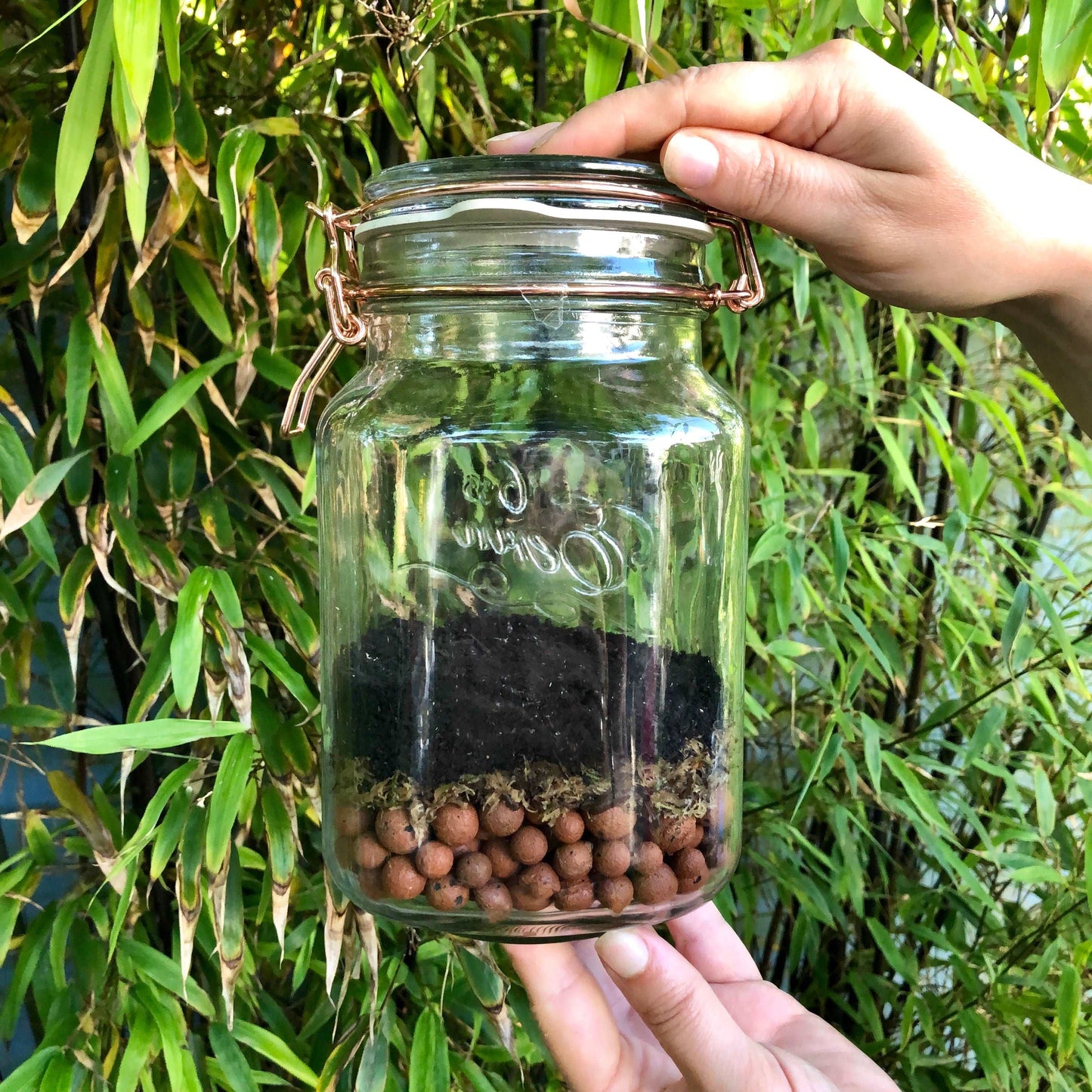 Small Starter Terrarium Kit • Vintage Copper Glass Jar