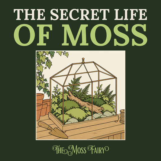 The Secret Life of Moss colouring book cover, dark green with a brass terrarium full of moss and ferns on a potting bench