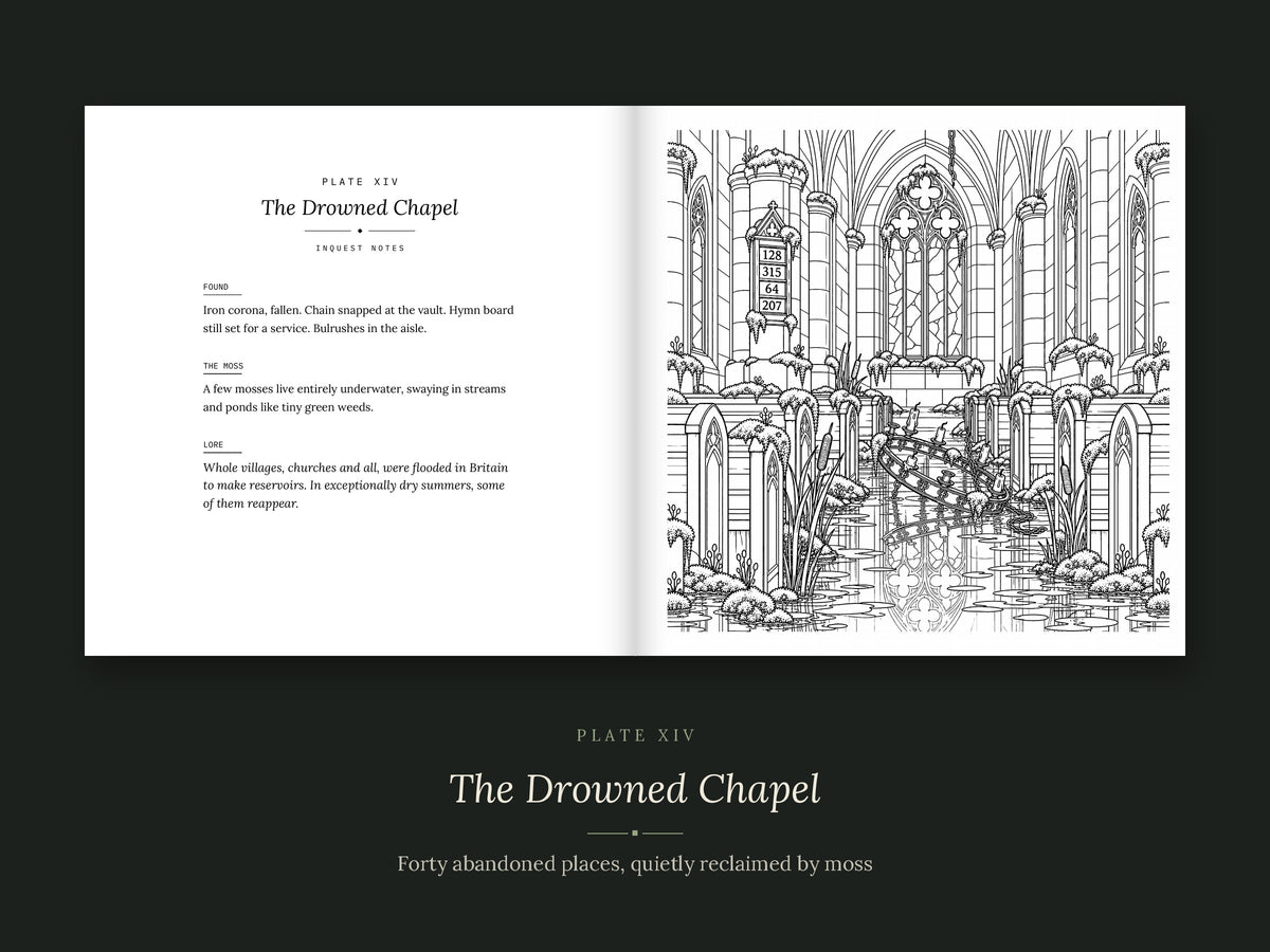 The Darker Side of Moss open to Plate XIV, The Drowned Chapel: a flooded gothic chapel overgrown with moss, with inquest notes on the facing page