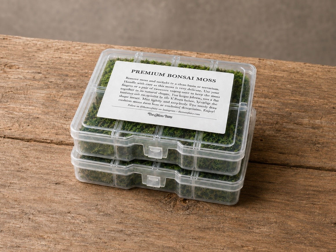 Two live cushion moss gift boxes stacked on a rustic wooden surface with a Premium Bonsai Moss care label.