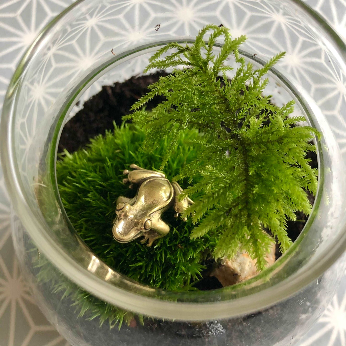 Solid Brass Frog • Terrarium Decoration