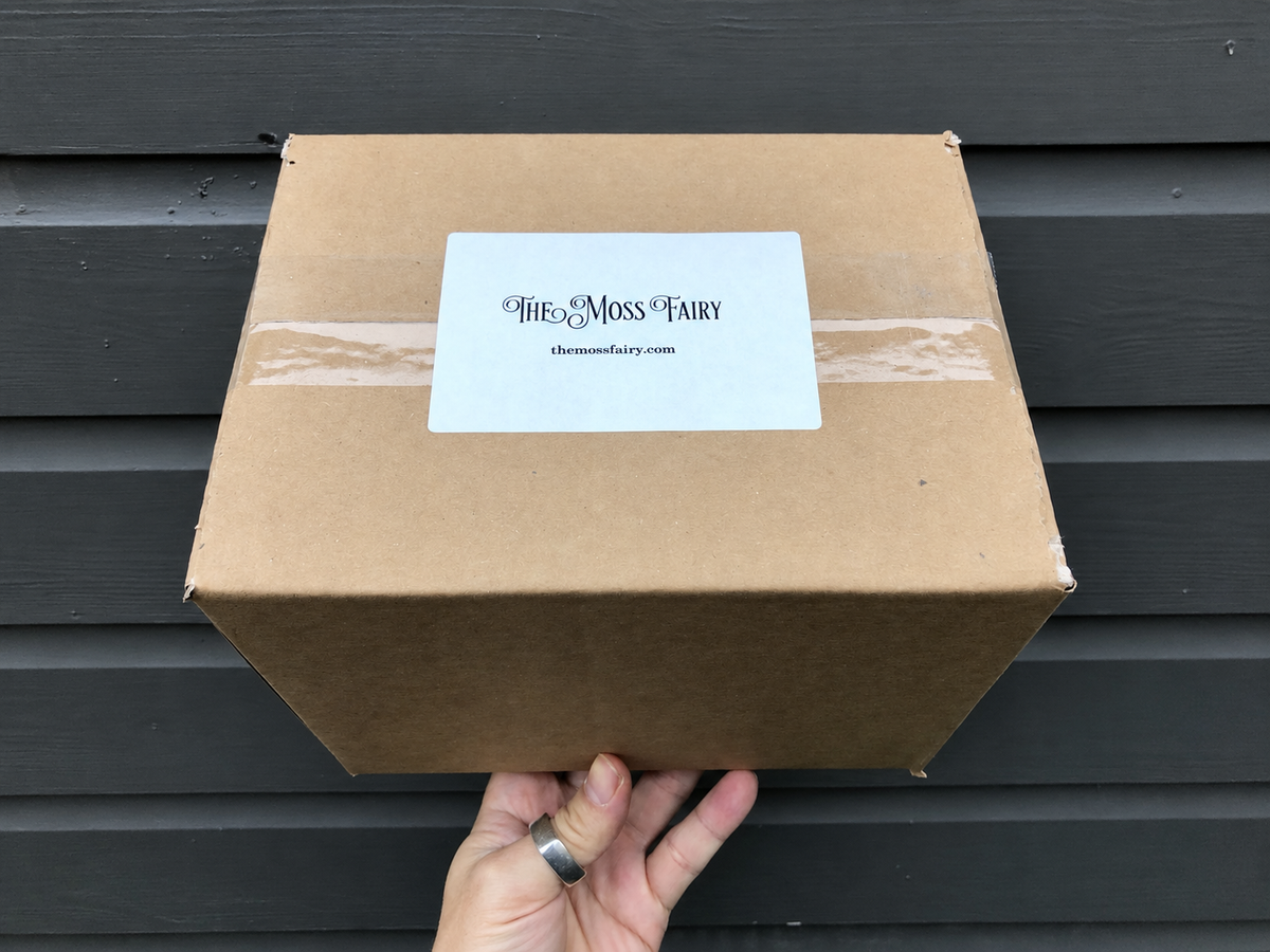 The Moss Fairy terrarium kit in its standard recyclable kraft postal box