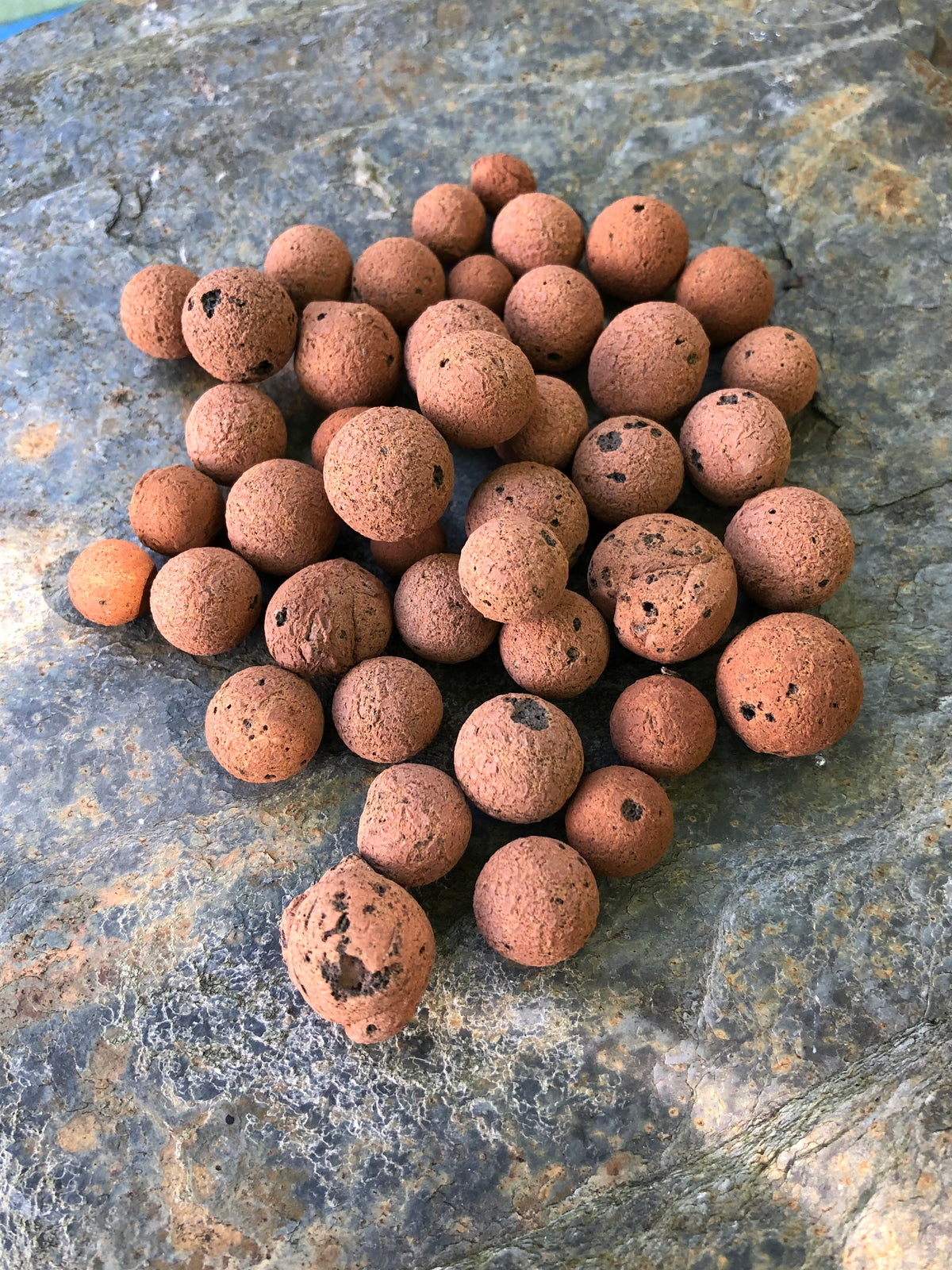 Pile of small clay balls used for drainage in house plants.