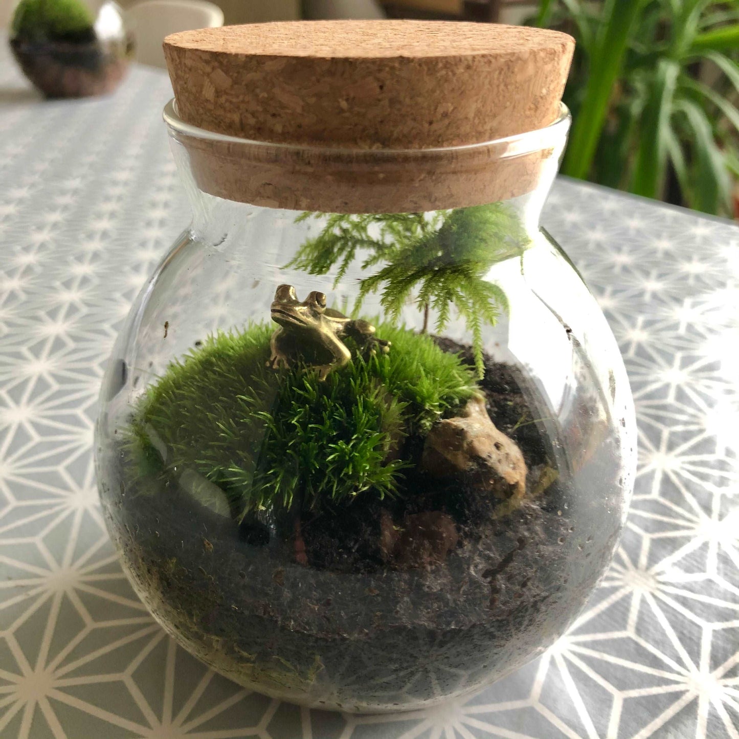 Solid Brass Frog • Terrarium Decoration