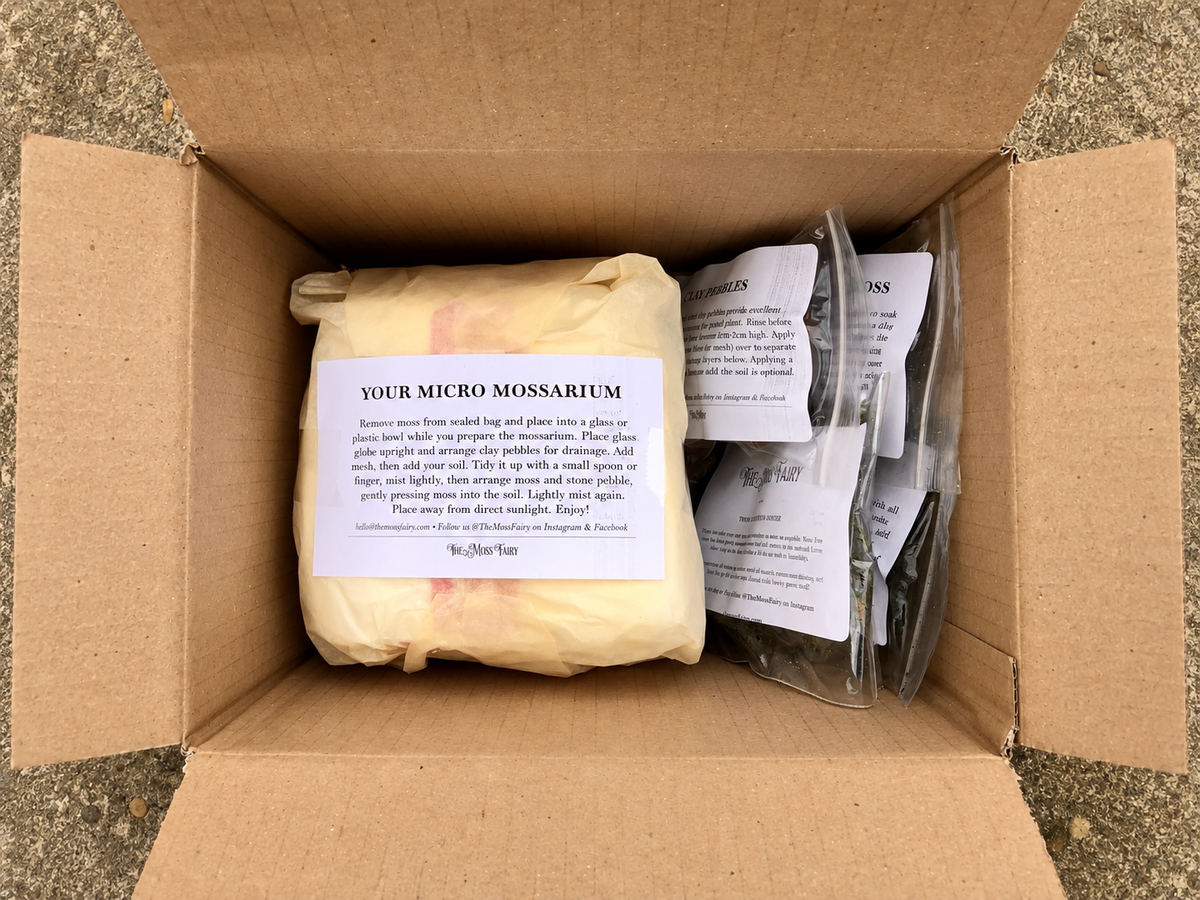 Moss terrarium kit components carefully packed for delivery