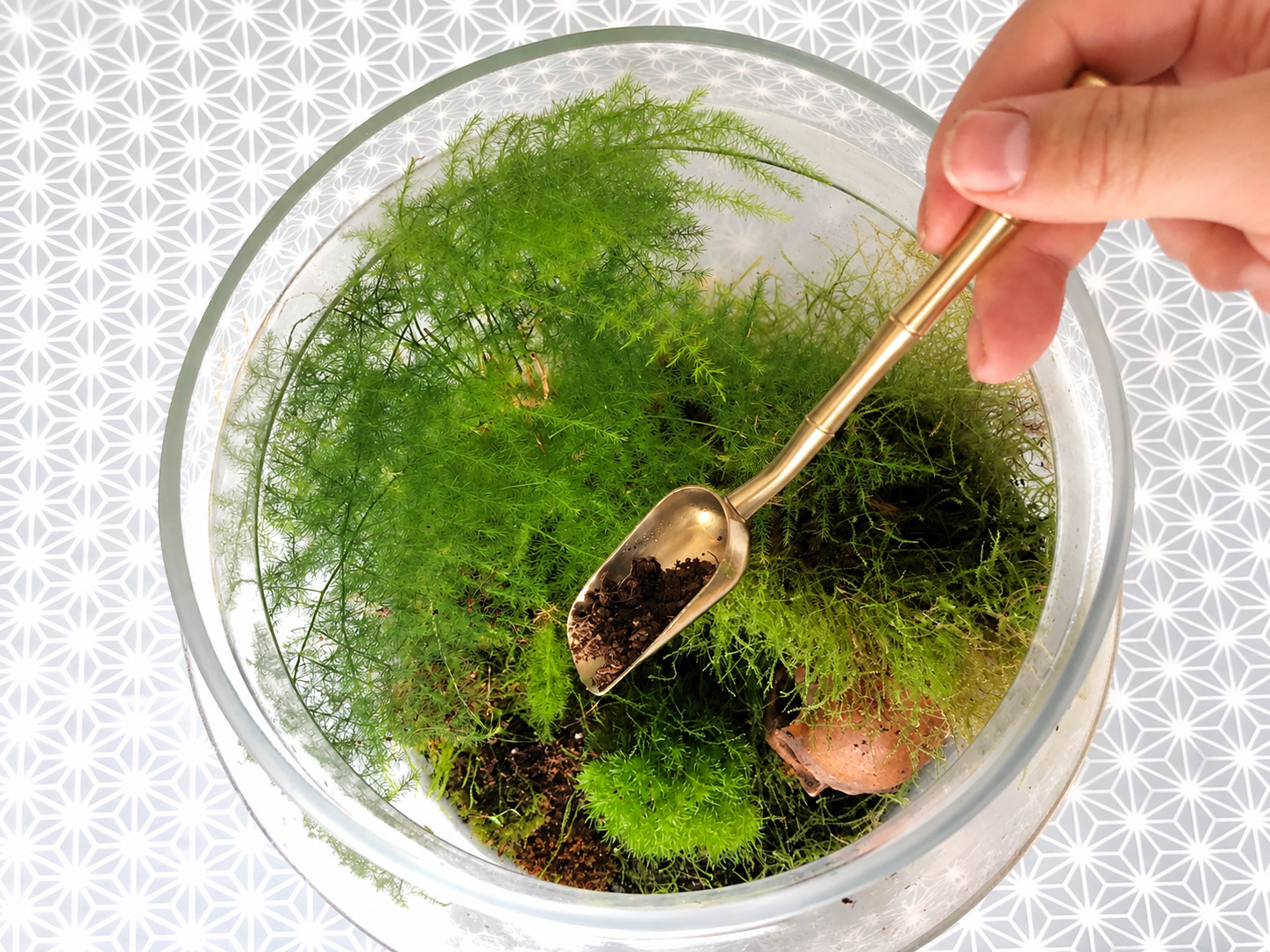 Mini brass soil scoop being used to add substrate to a terrarium