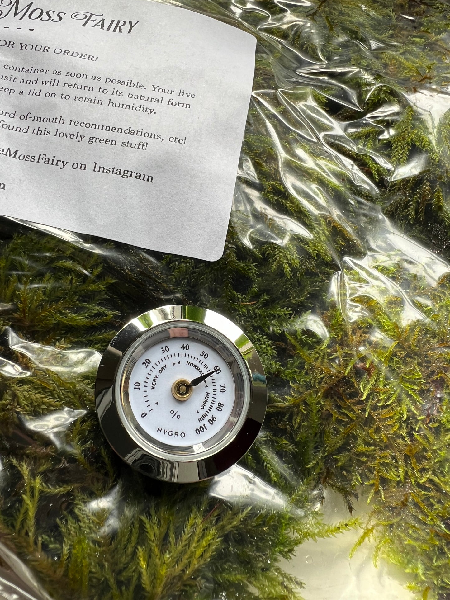 Small analogue hygrometer for monitoring humidity in moss terrariums