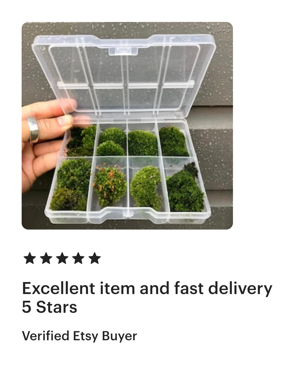 trusted review mentioning fast delivery live bonsai moss