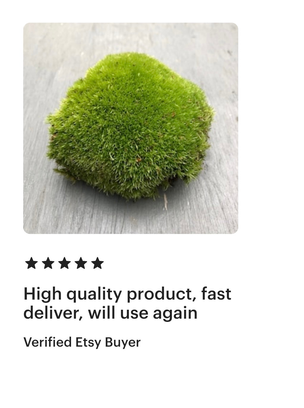 high quality live cushion moss pillow moss bun moss