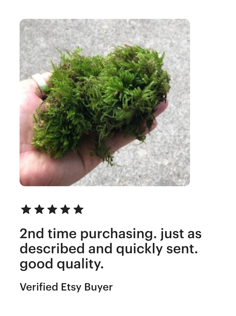 moss fairy good review hand holding live feather moss