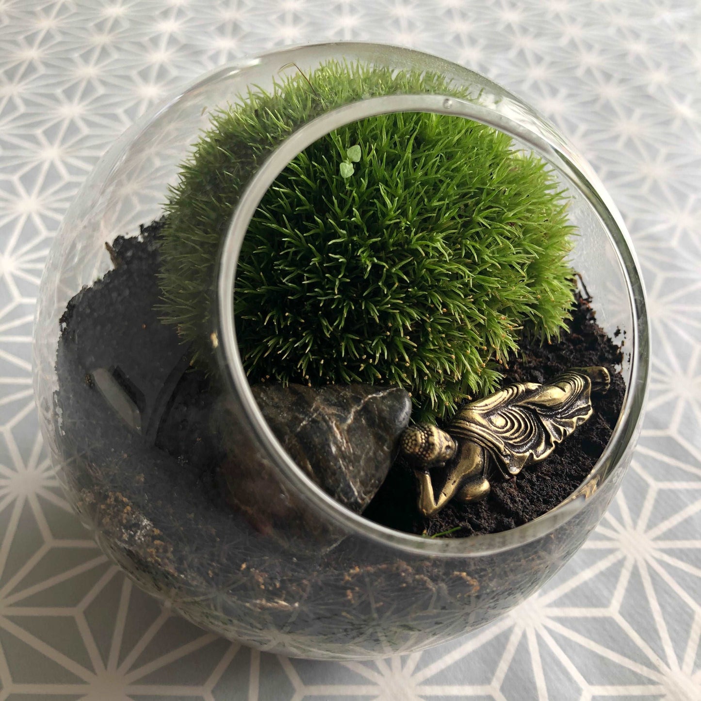 small round terrarium with single cushion moss bun and reclining buddha