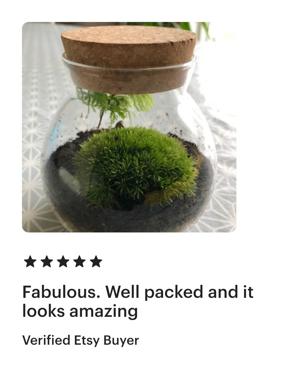 great review mentioning packaging for bun moss round glass terrarium with cork lid