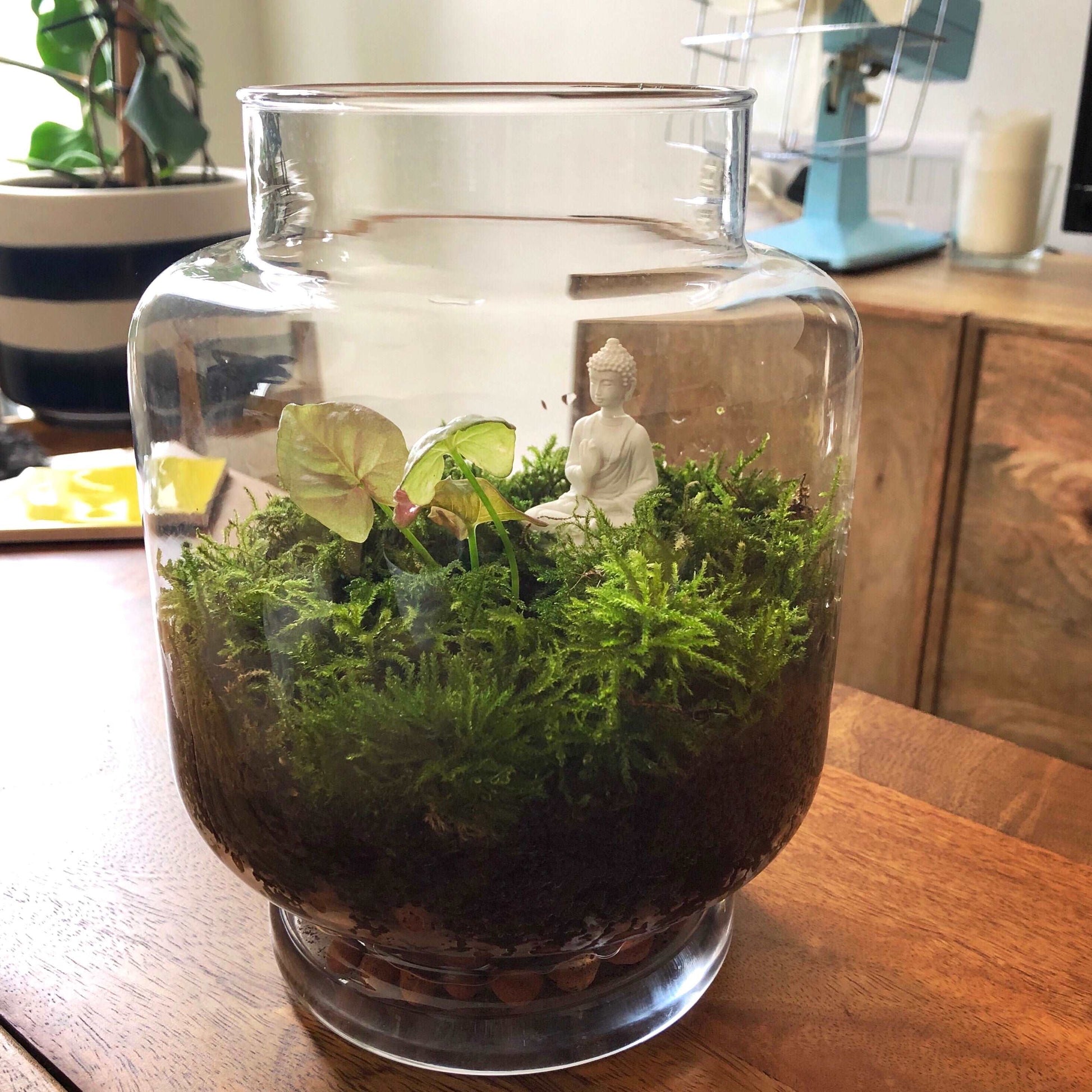 glass terrarium with zen moss and buddha